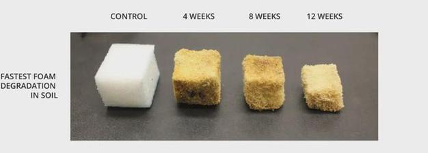 加州生物基公司新發論文植物基微塑料7個月內可完全生物降解