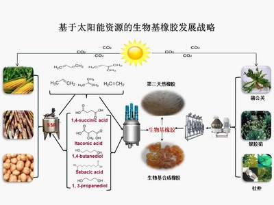 &ldquo;十三五&rdquo;國家重點研發(fā)計劃項目&ldquo;新型生物基橡膠材料制備技術(shù)與應用示范&rdquo;順利通過項目綜合績效評價