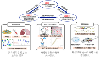 我校5人獲省杰青項目資助、4支團隊入選省重點科技創新團隊