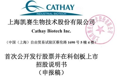 凱賽生物IPO:存在安全生產(chǎn)風(fēng)險(xiǎn),曾深陷專利糾紛,票據(jù)流轉(zhuǎn)、轉(zhuǎn)貸等違規(guī)不斷
